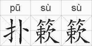 扑簌簌的拼音