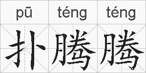 扑腾腾的拼音