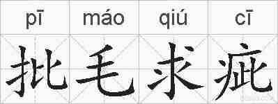 批毛求疵的拼音