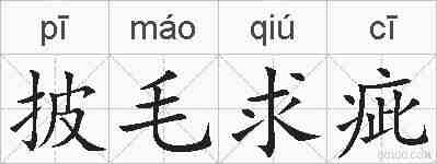 披毛求疵的拼音