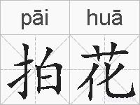 拍花的拼音