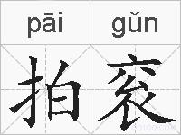 拍衮的拼音
