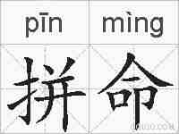 拼命的拼音