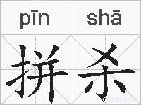 拼杀的拼音