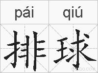 排球的拼音
