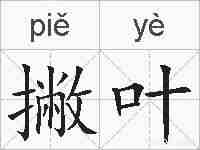 撇叶的拼音