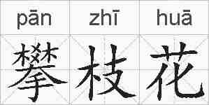 攀枝花的拼音