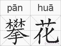 攀花的拼音