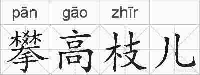 攀高枝儿的拼音