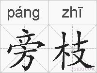 旁枝的拼音