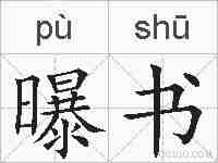 曝书的拼音