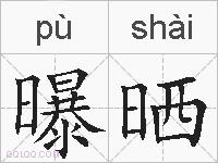 曝晒的拼音