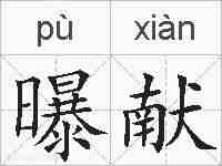曝献的拼音