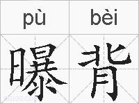 曝背的拼音