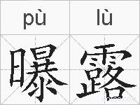 曝露的拼音