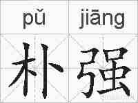 朴强的拼音