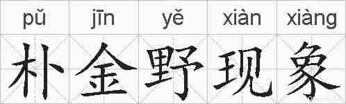 朴金野现象的拼音