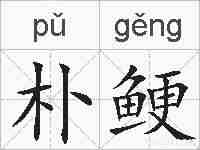 朴鲠的拼音
