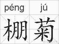 棚菊的拼音