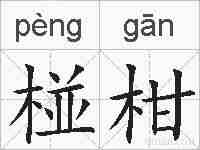 椪柑的拼音