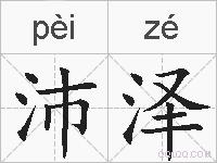 沛泽的拼音