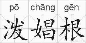 泼娼根的拼音