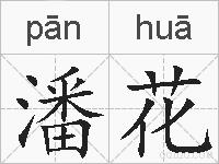 潘花的拼音