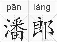 潘郎的拼音