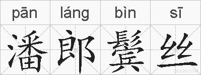 潘郎鬓丝的拼音