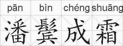 潘鬓成霜的拼音
