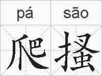 爬搔的拼音