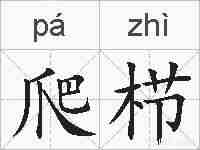 爬栉的拼音