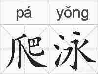 爬泳的拼音