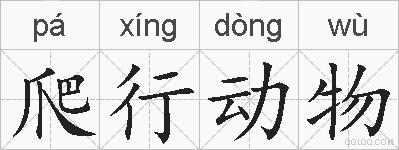 爬行动物的拼音