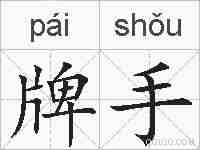 牌手的拼音