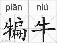 犏牛的拼音