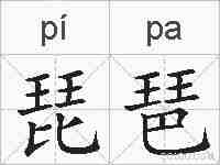 琵琶的拼音
