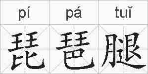 琵琶腿的拼音