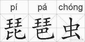 琵琶虫的拼音