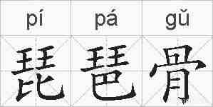 琵琶骨的拼音