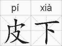 皮下的拼音