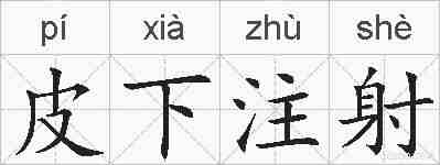 皮下注射的拼音