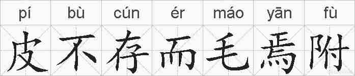 皮不存而毛焉附的拼音