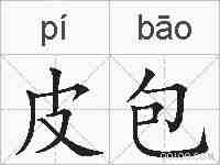 皮包的拼音
