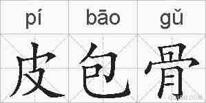 皮包骨的拼音