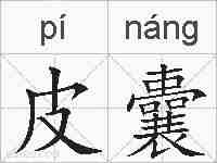 皮囊的拼音