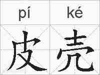 皮壳的拼音