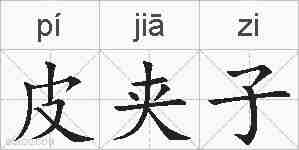 皮夹子的拼音