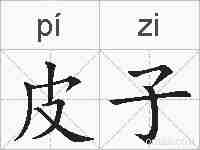 皮子的拼音