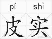 皮实的拼音